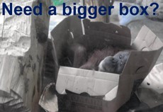 Bigger Box 2